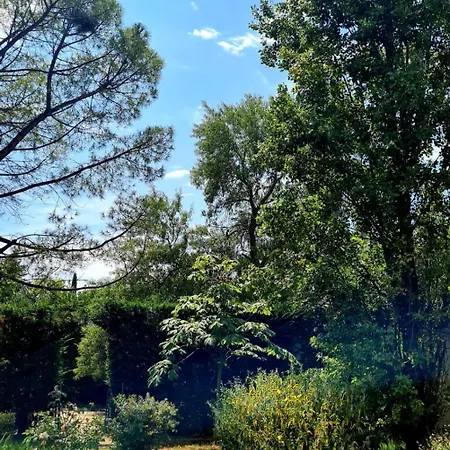 Heure Bleue D'antiquaire 160 M2 Et Jardin Vila *