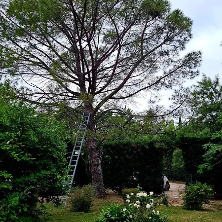 D'antiquaire Heure Bleue - 160 M2 Et Jardin A 10 Mn A Pied Du Centre D'uzes