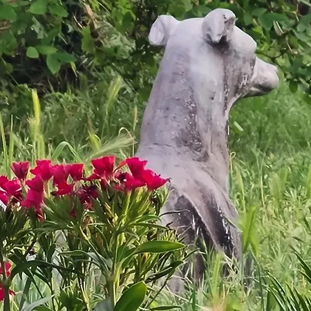 Heure Bleue D'antiquaire 160 M2 Et Jardin Vila