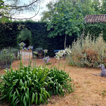 D'antiquaire Heure Bleue - 160 M2 Et Jardin à 10 Mn à Pied Du Centre D'uzès Uzès